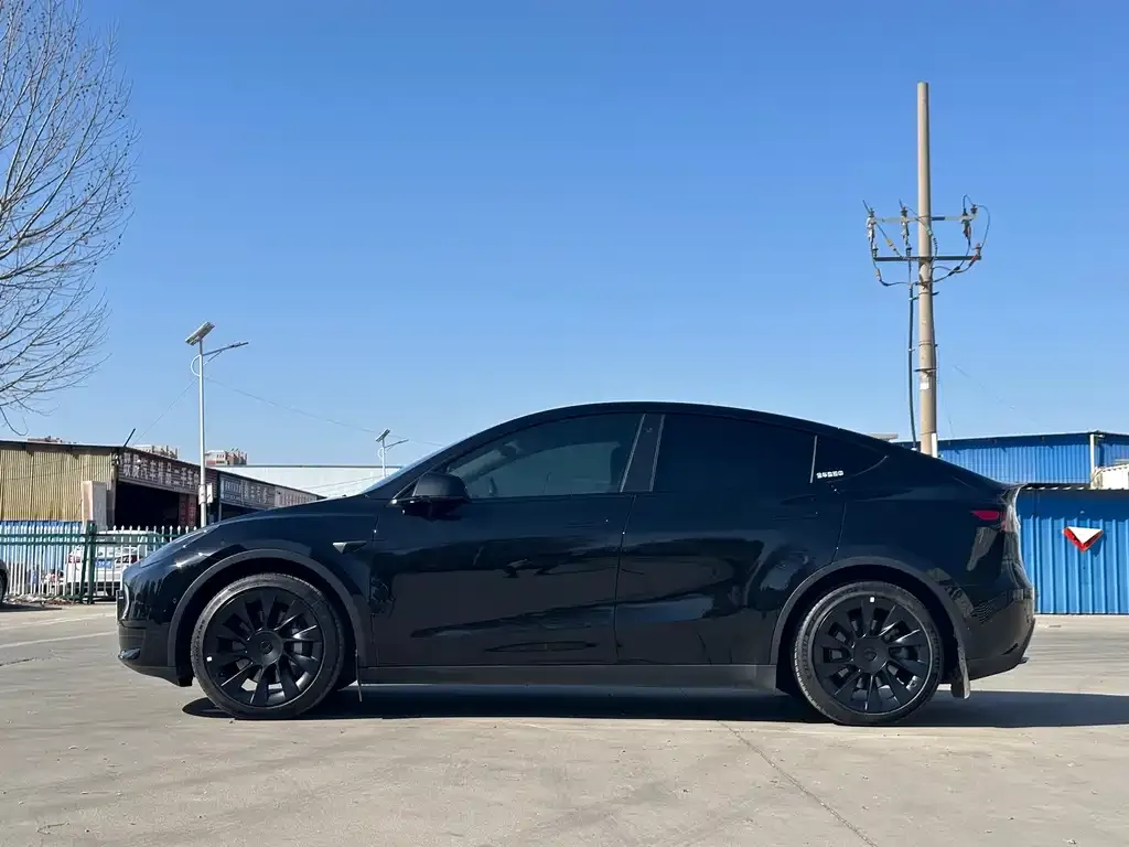 Tesla Model Y — фото 3