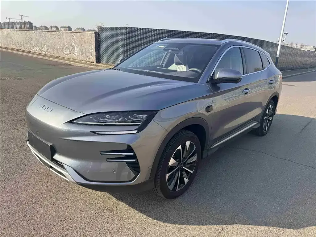 BYD PLUS New Energy 2025 из CN, фото 1