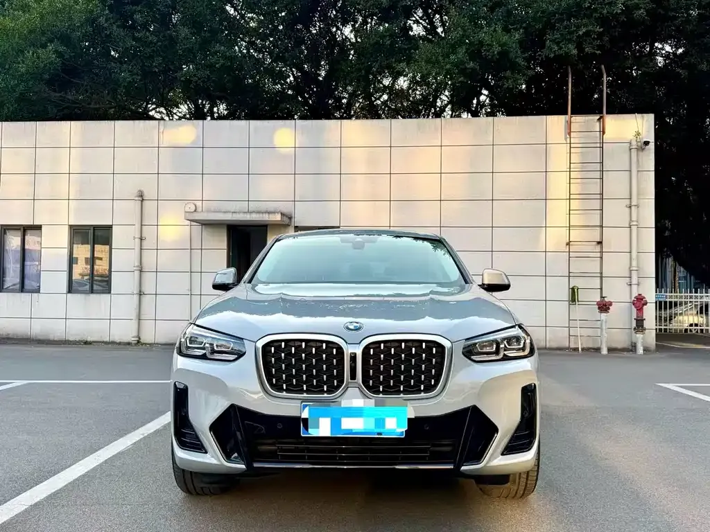 BMW X4 2023 из CN, фото 6