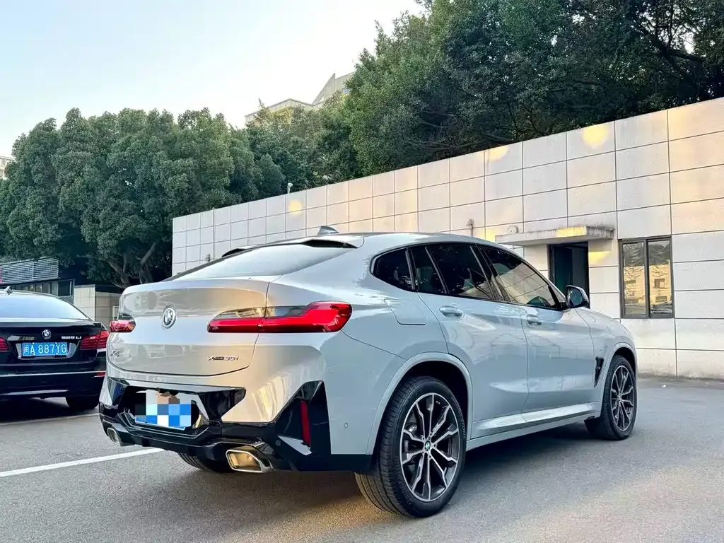 BMW X4 2023 из CN, фото 8