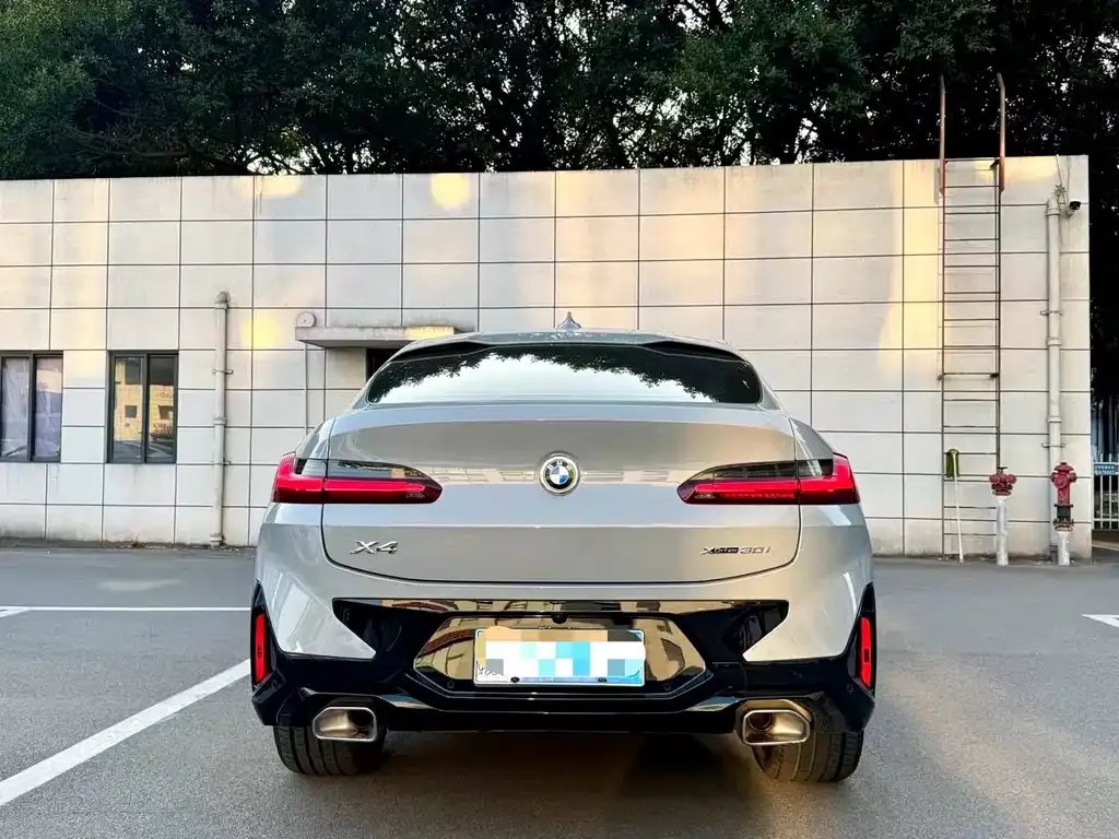 BMW X4 2023 из CN, фото 9