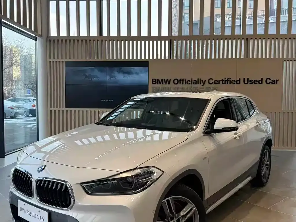 BMW X2 2021 из CN, фото 1