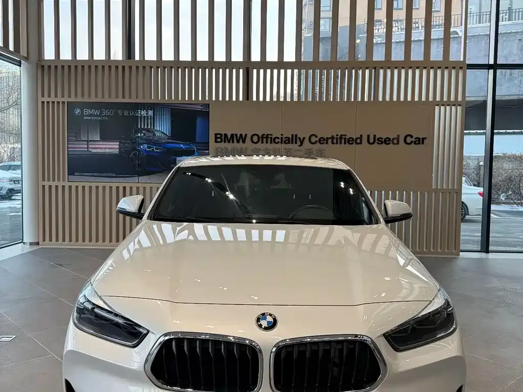 BMW X2 2021 из CN, фото 7
