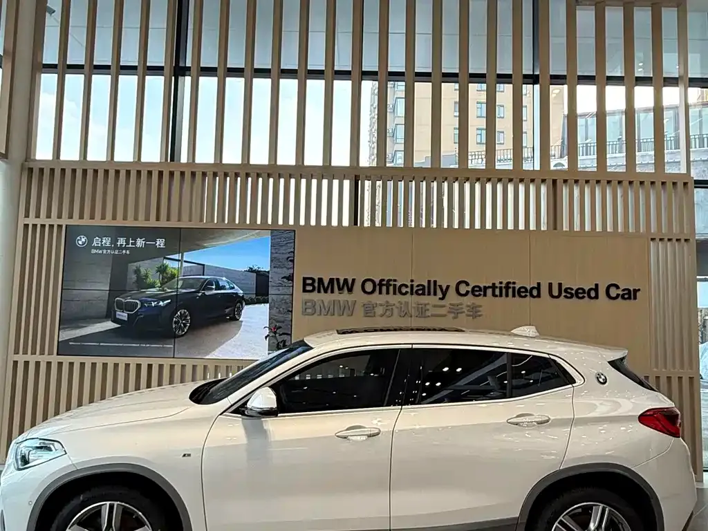 BMW X2 2021 из CN, фото 5