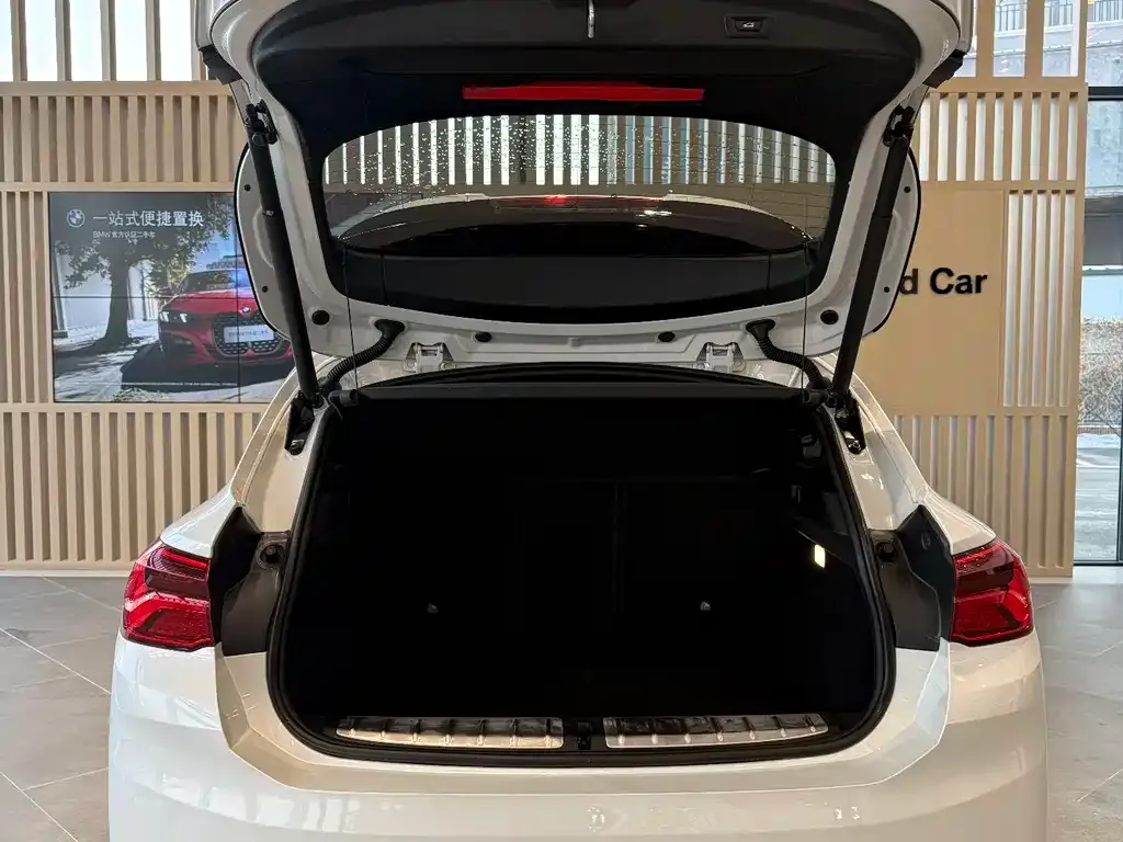 BMW X2 2021 из CN, фото 3