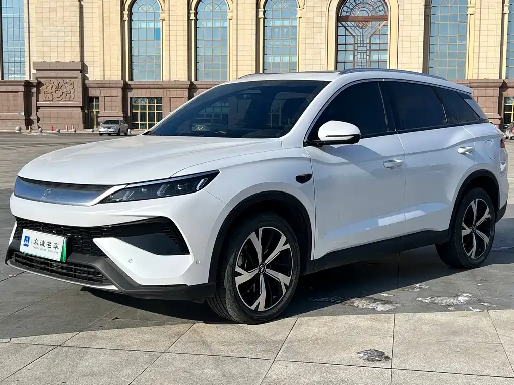BYD Pro New Energy 2025 из CN, фото 1