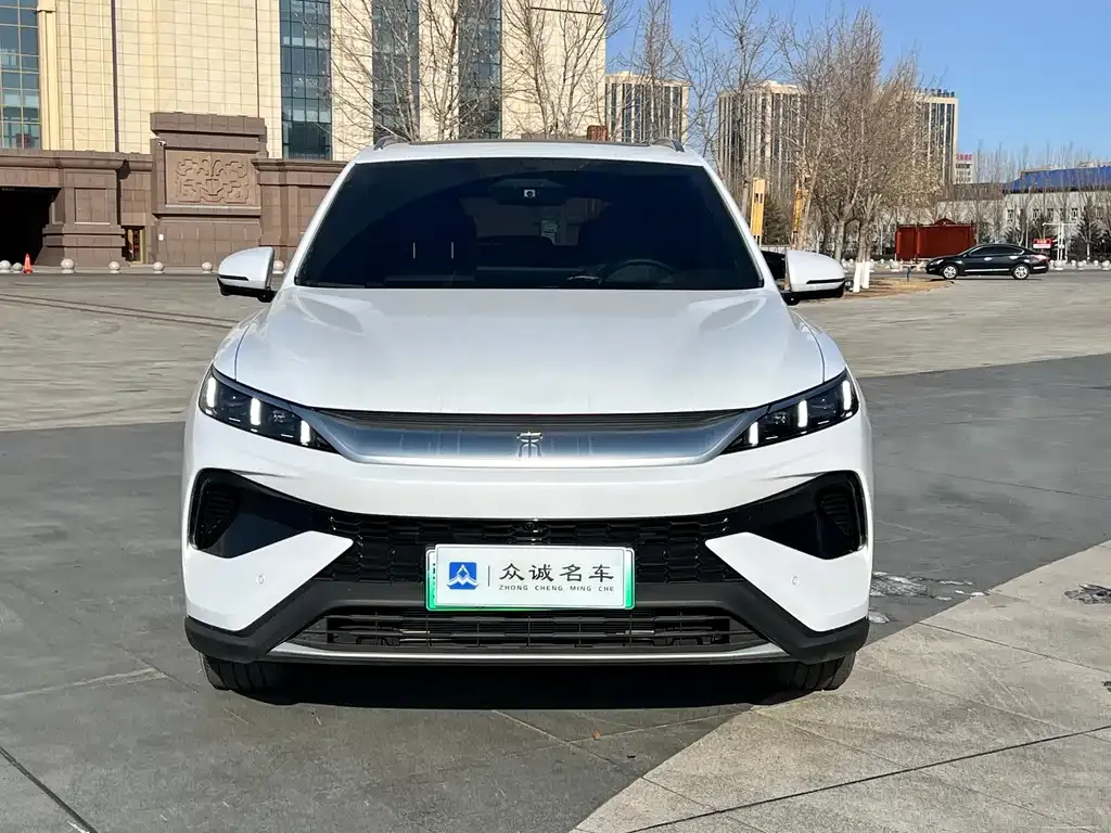 BYD Pro New Energy 2025 из CN, фото 8
