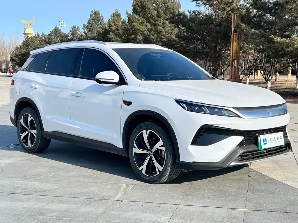 BYD Pro New Energy 2025 из CN, фото 4