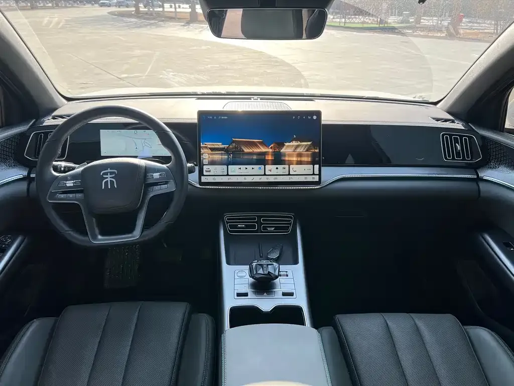BYD Pro New Energy 2025 из CN, фото 7