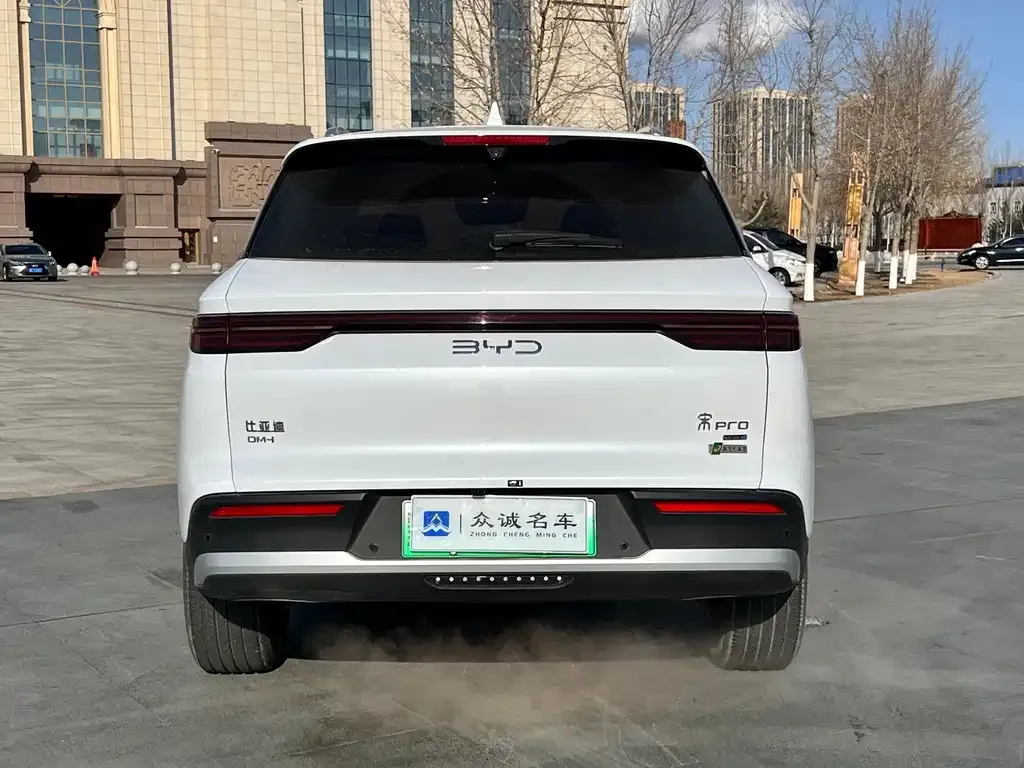 BYD Pro New Energy 2025 из CN, фото 2