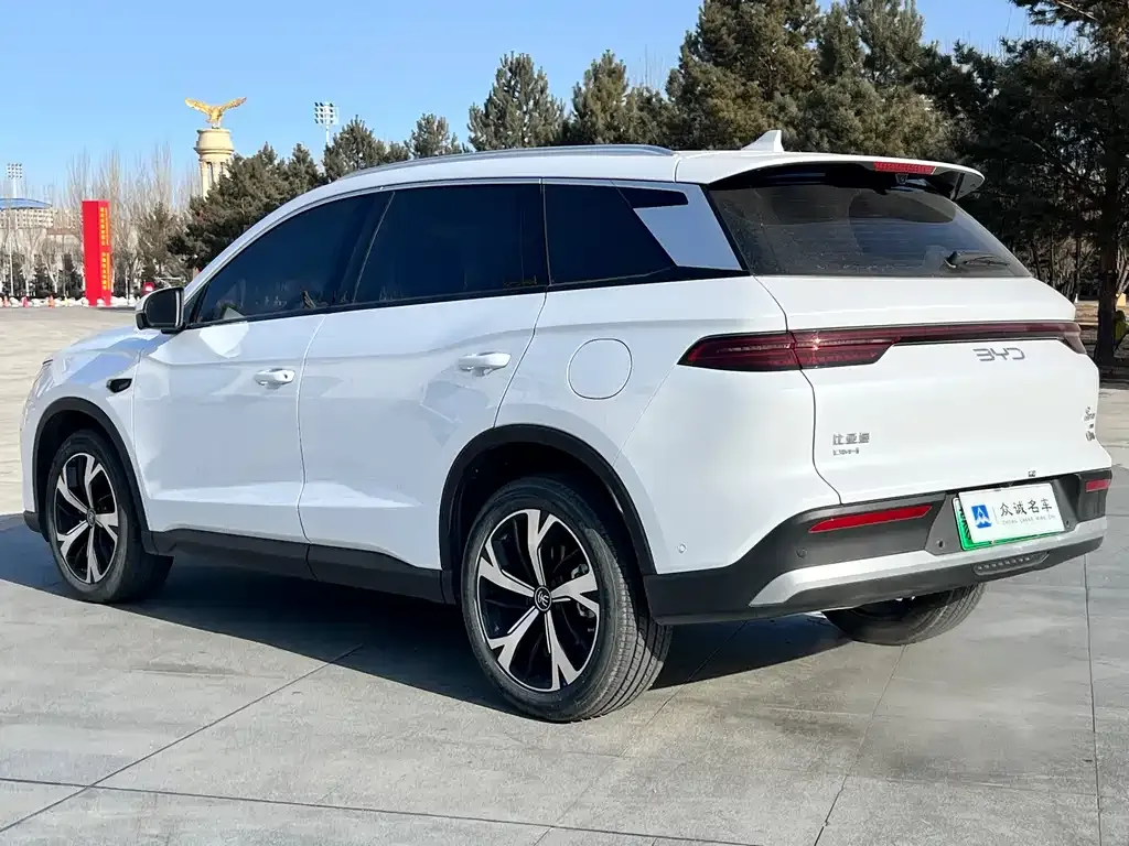 BYD Pro New Energy 2025 из CN, фото 3