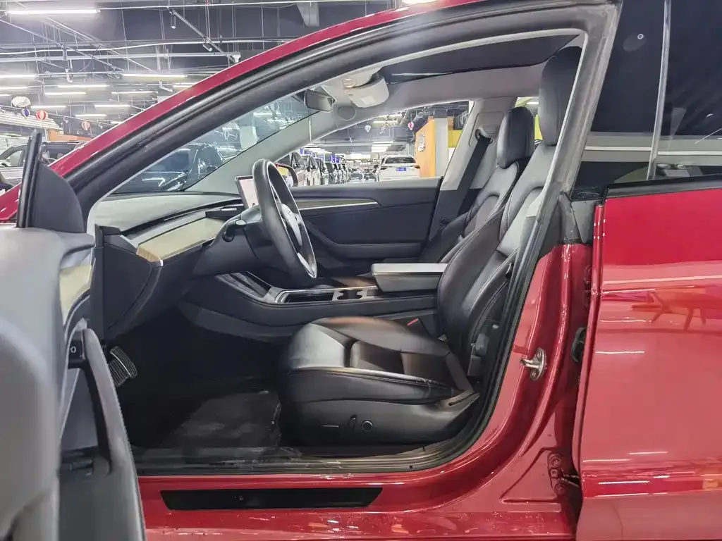 Tesla Model 3 2021 из CN, фото 5