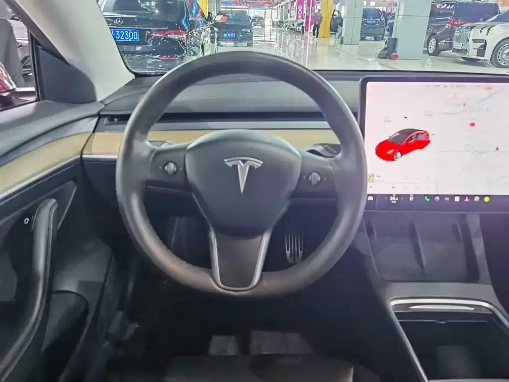 Tesla Model 3 2021 из CN, фото 8