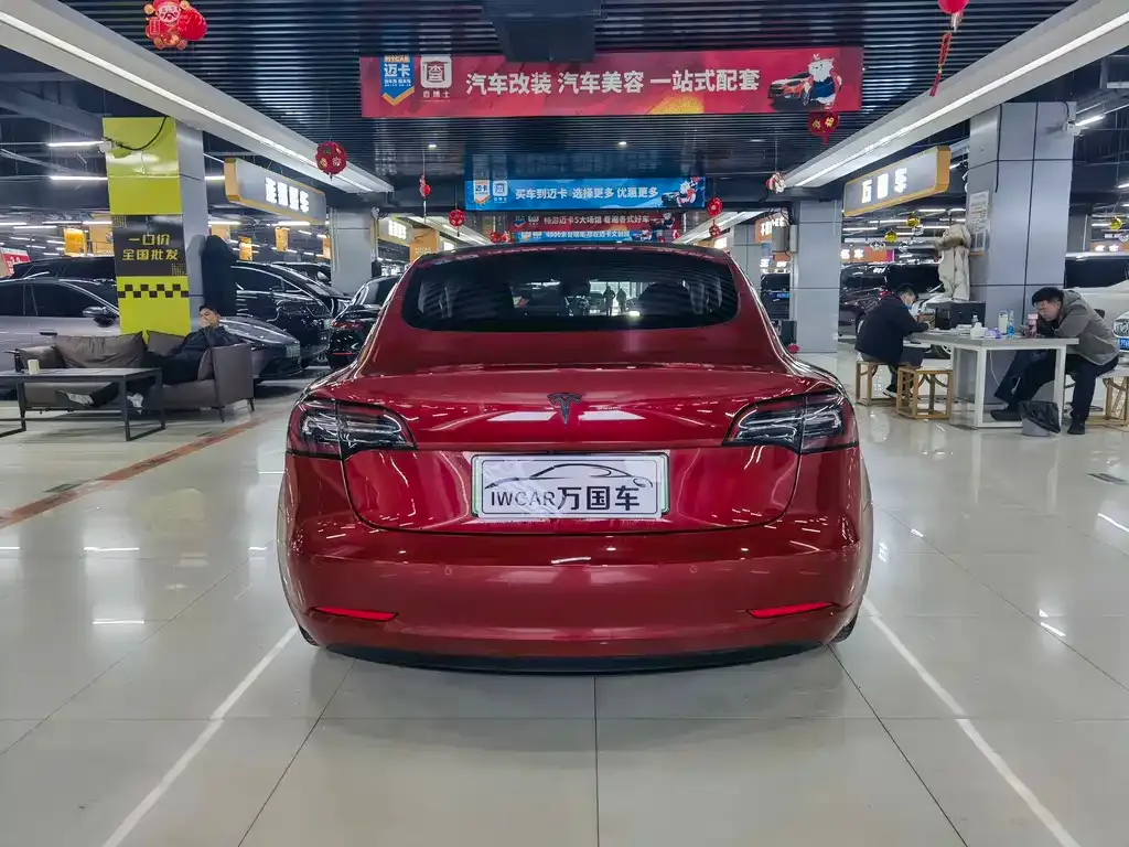 Tesla Model 3 2021 из CN, фото 4