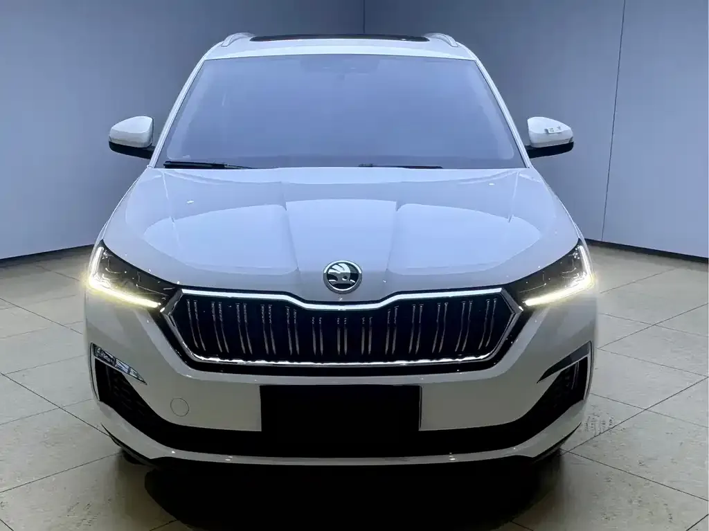 Skoda Kamiq — фото 7