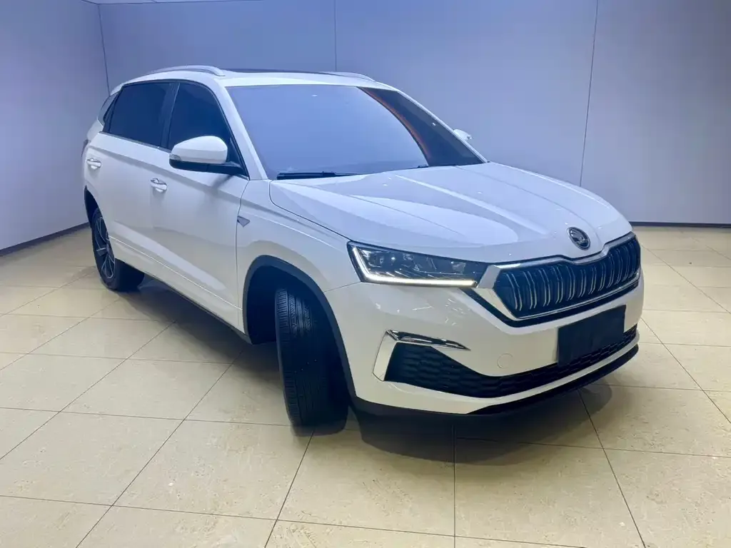 Skoda Kamiq — фото 4