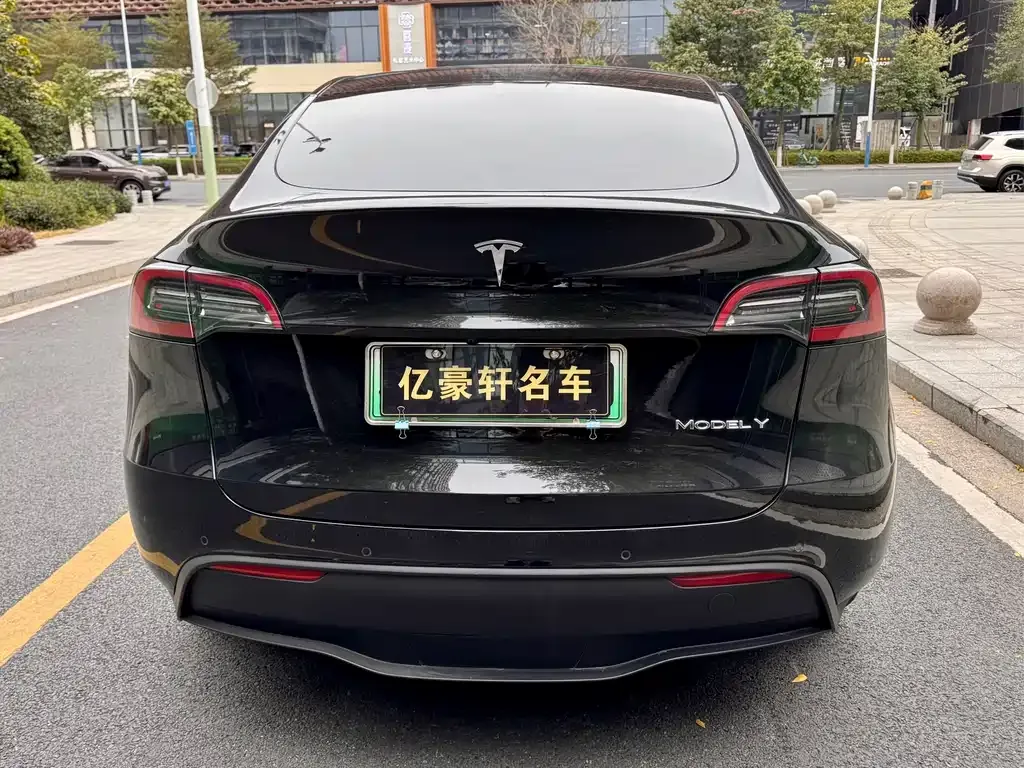 Tesla Model Y 2023 из CN, фото 4