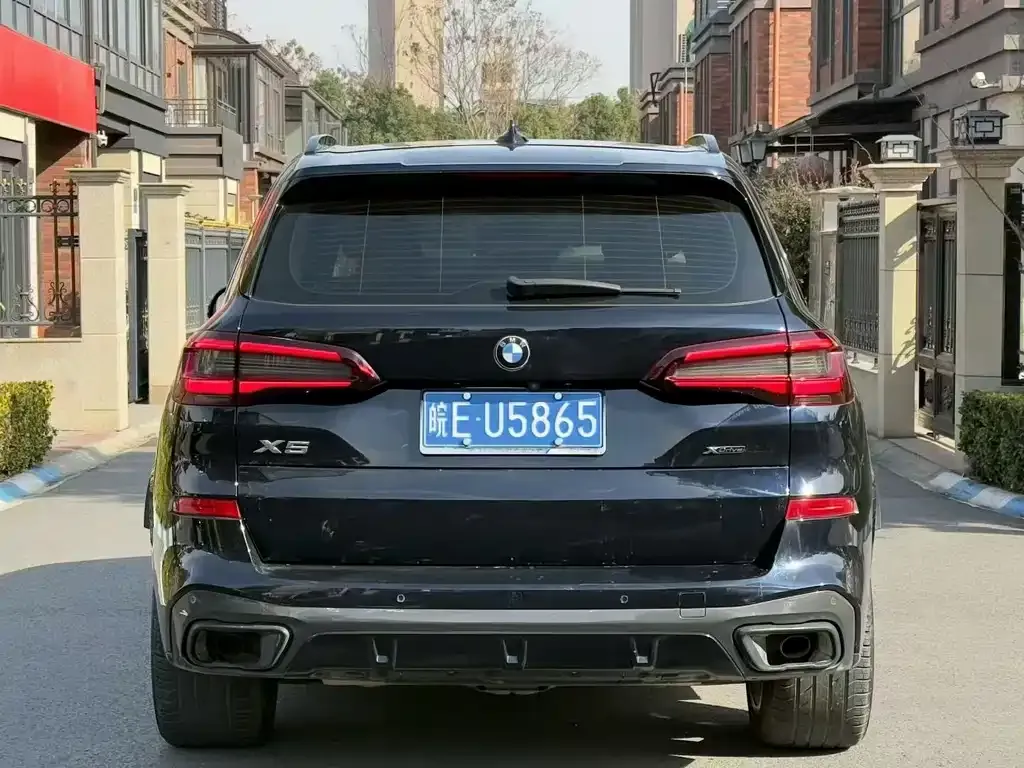 BMW X5 (Import) 2021 из CN, фото 5