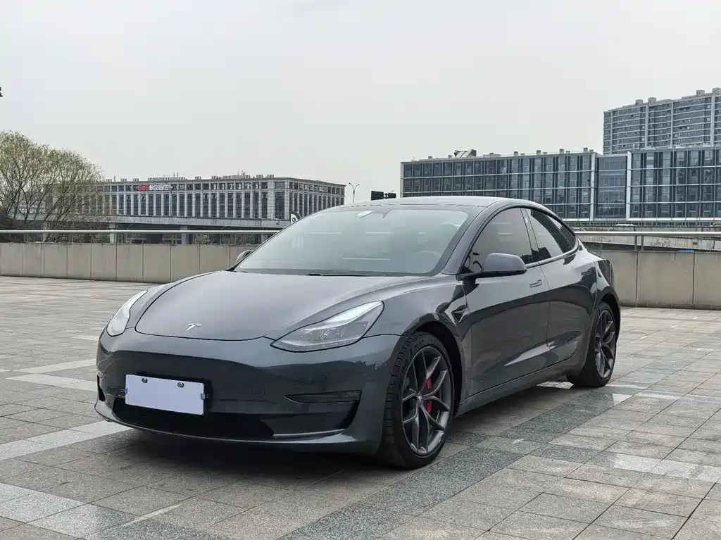 Tesla Model 3 2021 из CN, фото 1