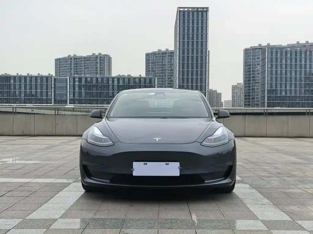 Tesla Model 3 2021 из CN, фото 3