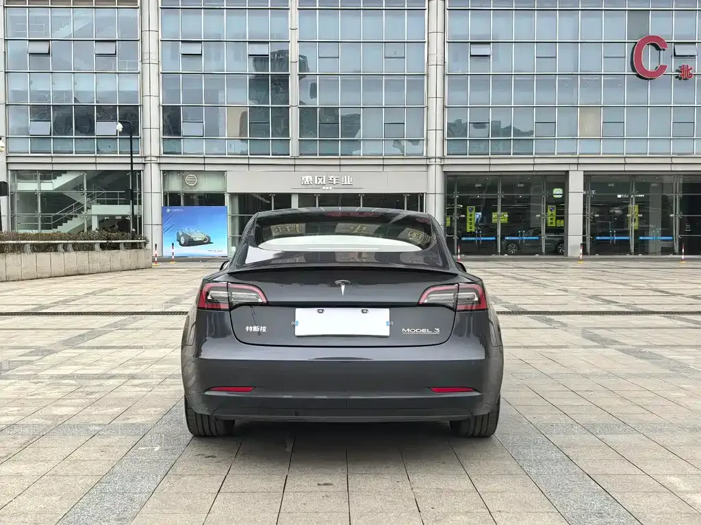 Tesla Model 3 2021 из CN, фото 5