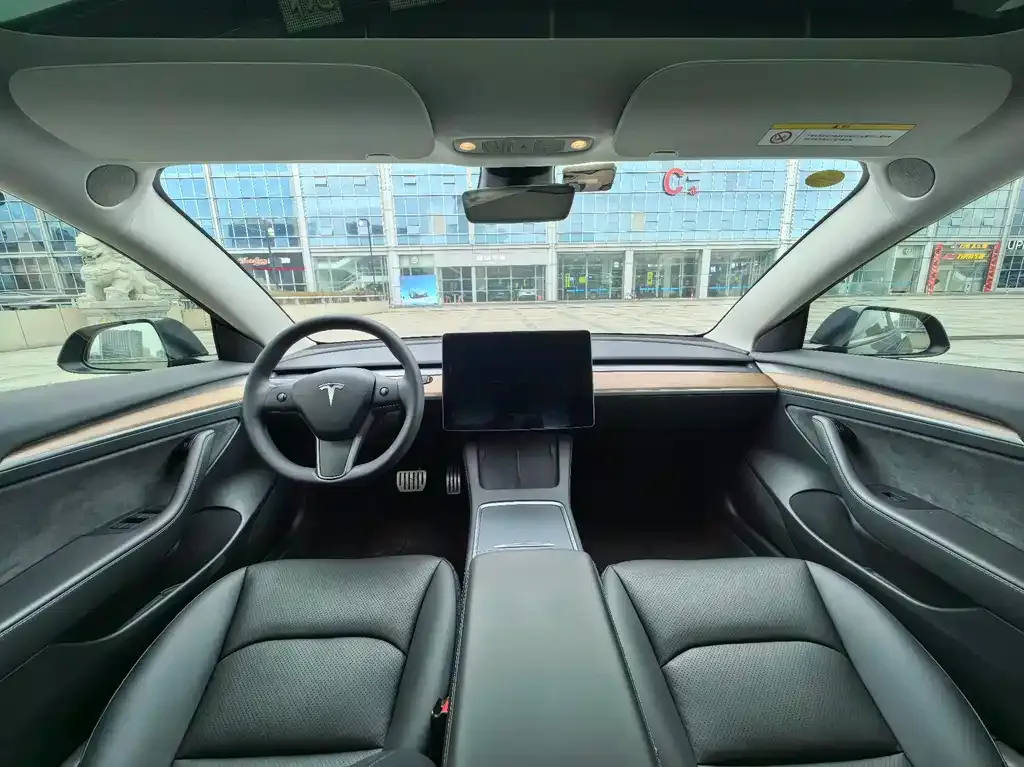 Tesla Model 3 2021 из CN, фото 2