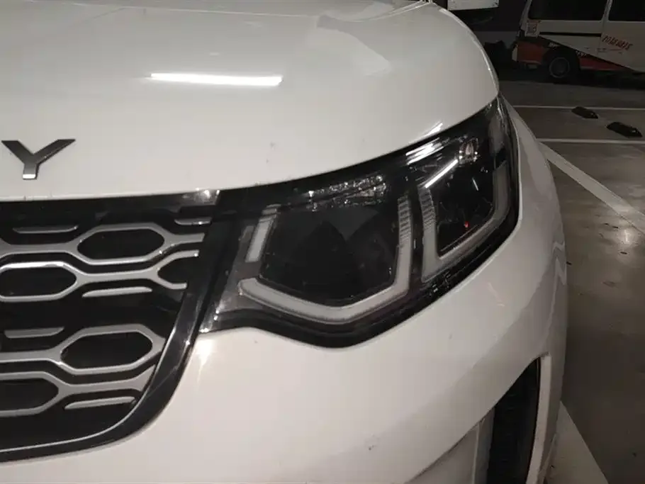 Land Rover Discovery Sport 2021 из CN, фото 3