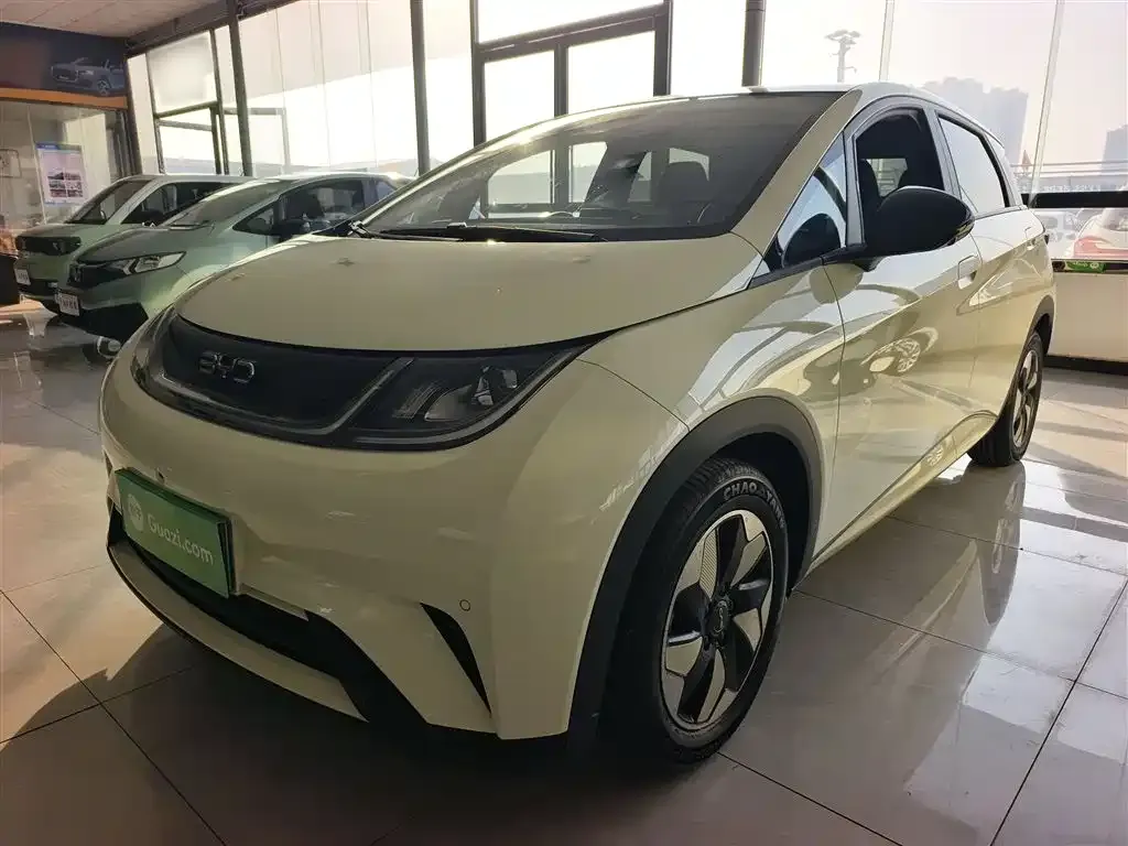 BYD Dolphin 2025 из CN, фото 4