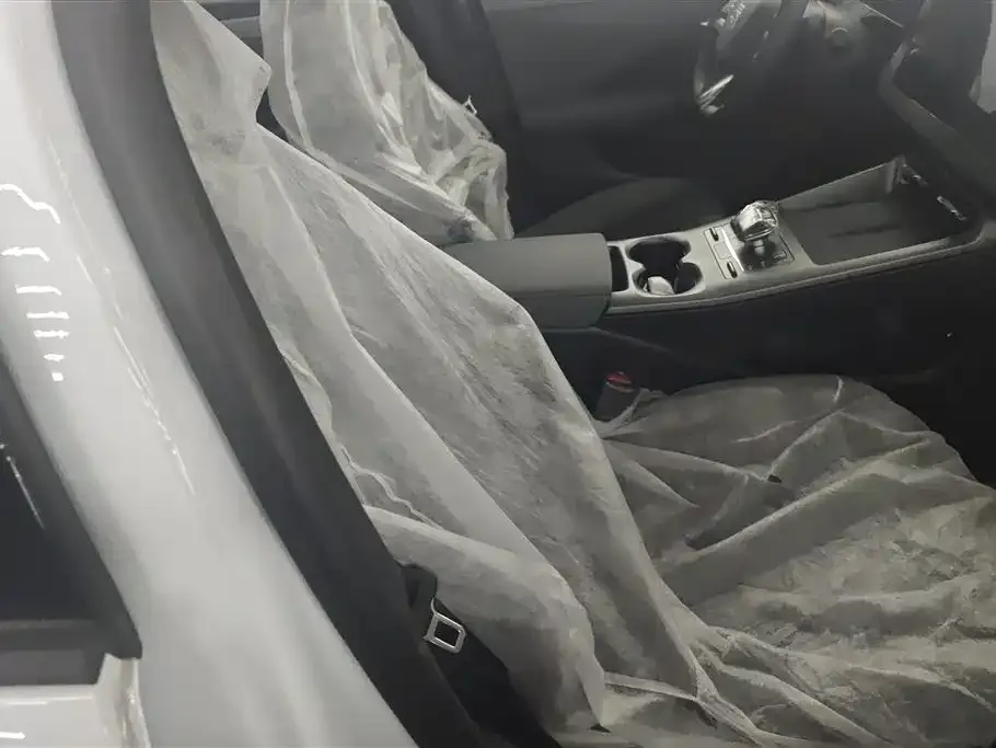 BYD Qin PLUS 2025 из CN, фото 4