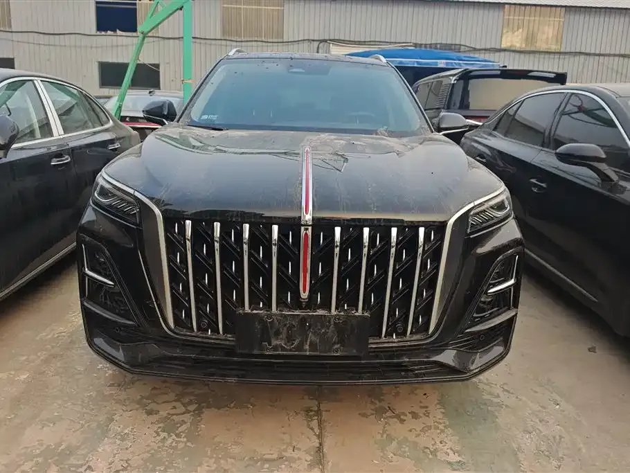 Hongqi HS5 2025 из CN, фото 10