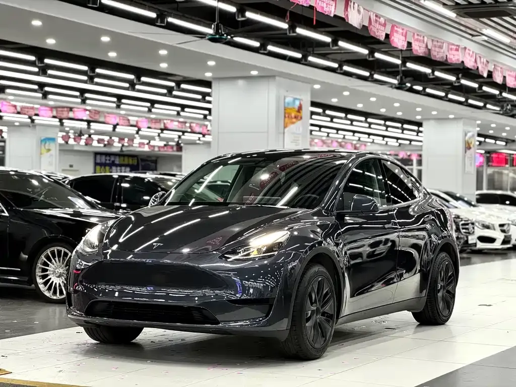 Tesla Model Y 2025 из CN, фото 1