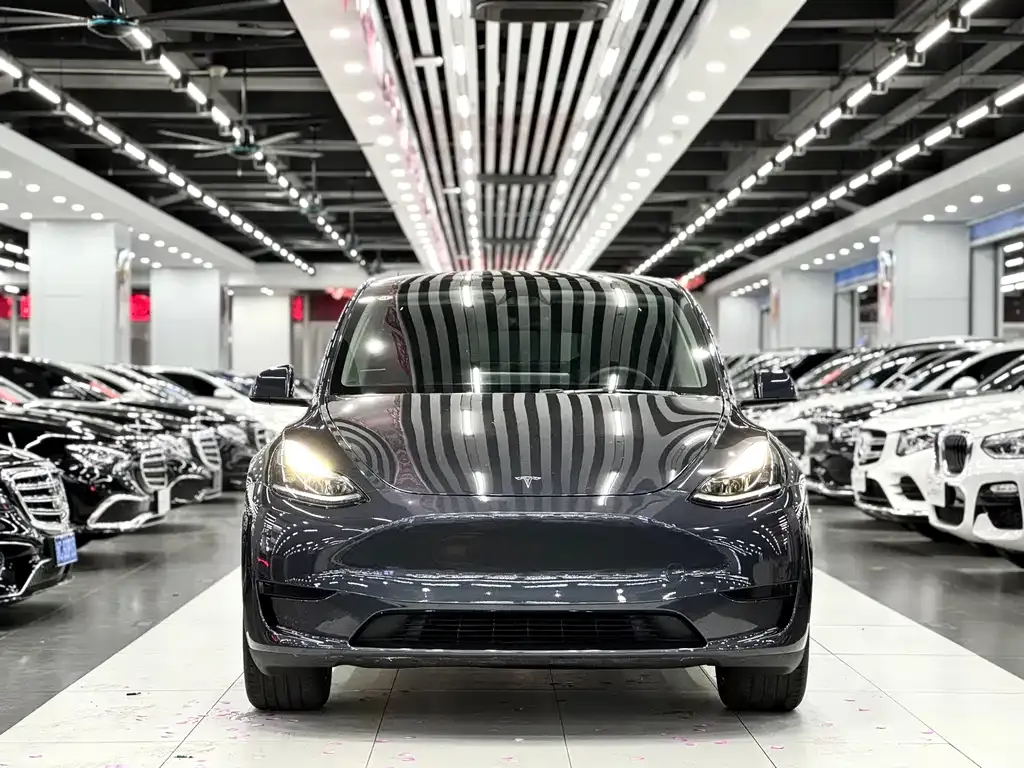 Tesla Model Y 2025 из CN, фото 9