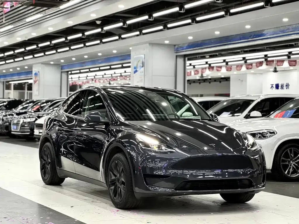 Tesla Model Y 2025 из CN, фото 4