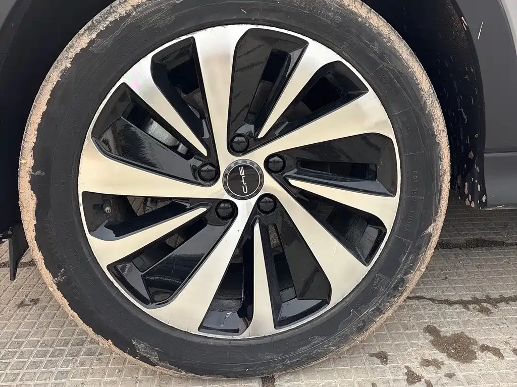 BYD PLUS New Energy — фото 10