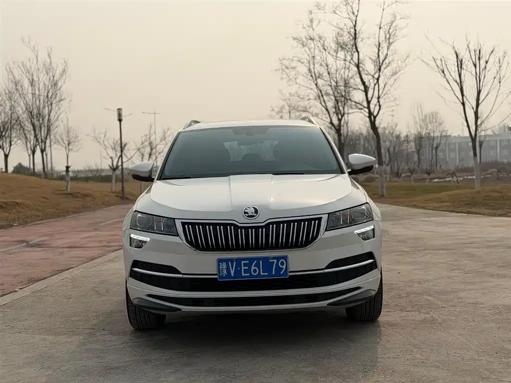 Skoda Karoq — фото 7