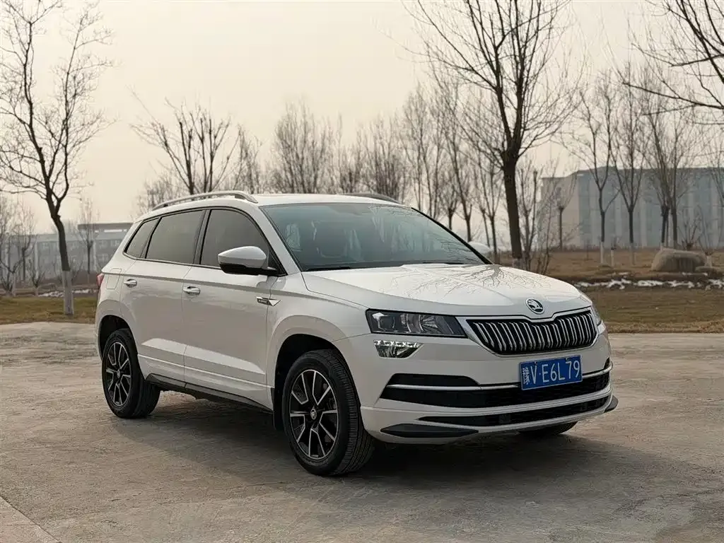 Skoda Karoq — фото 8