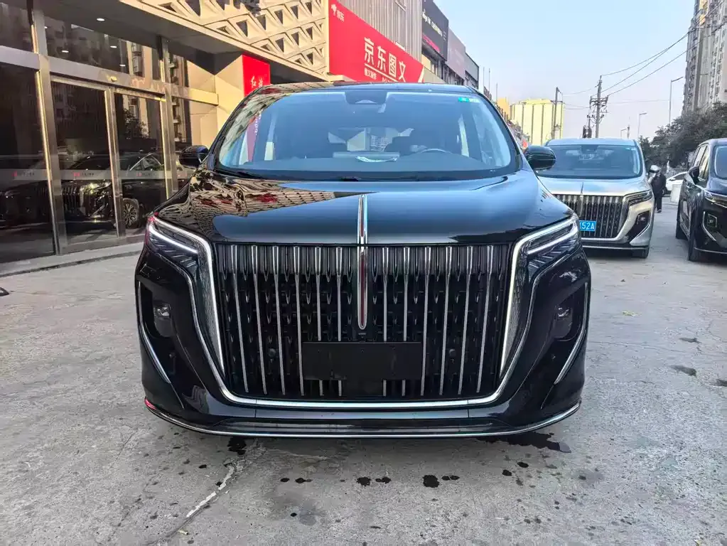 Hongqi HQ9 2023 из CN, фото 9