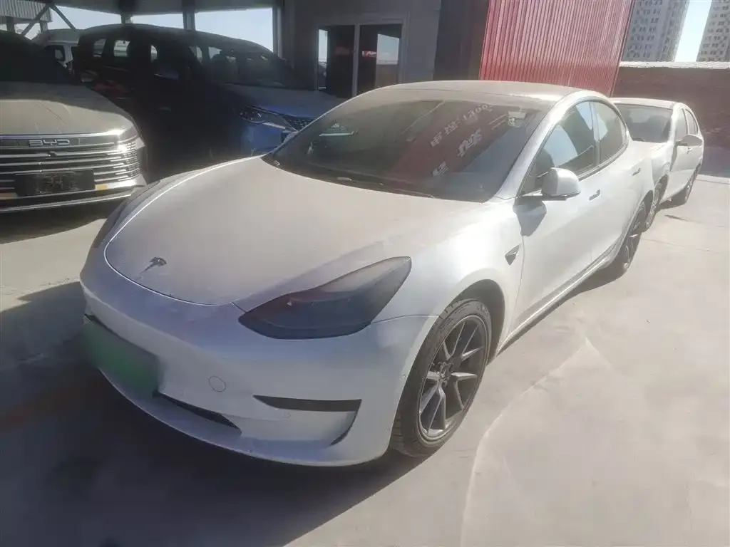 Tesla Model 3 2021 из CN, фото 1