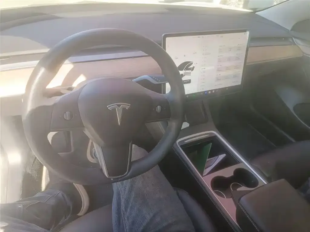 Tesla Model 3 2021 из CN, фото 6