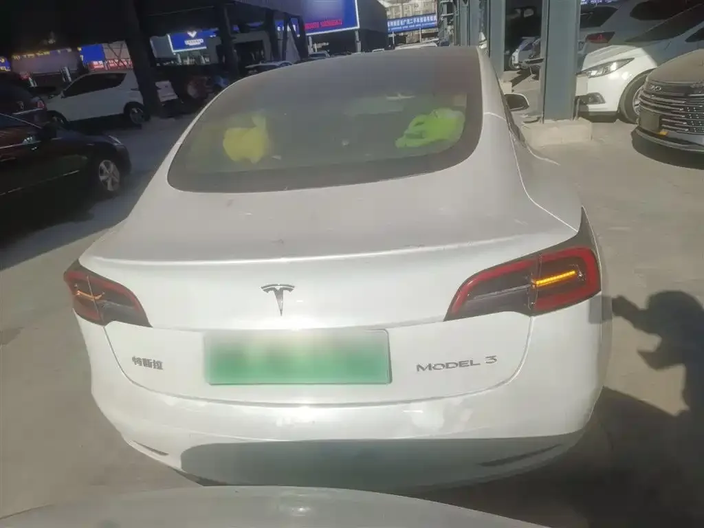 Tesla Model 3 2021 из CN, фото 7