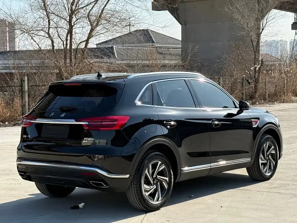 Hongqi HS5 2023 из CN, фото 10