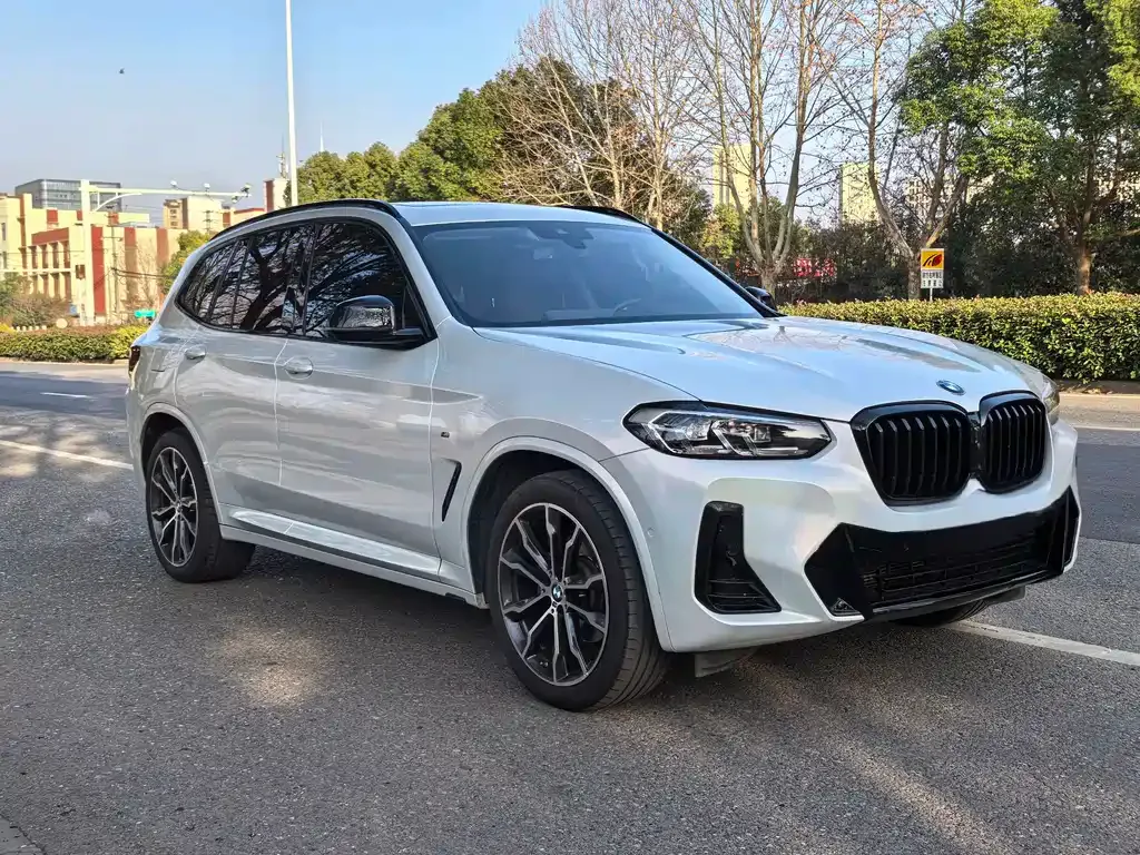 BMW X3 2023 из CN, фото 8