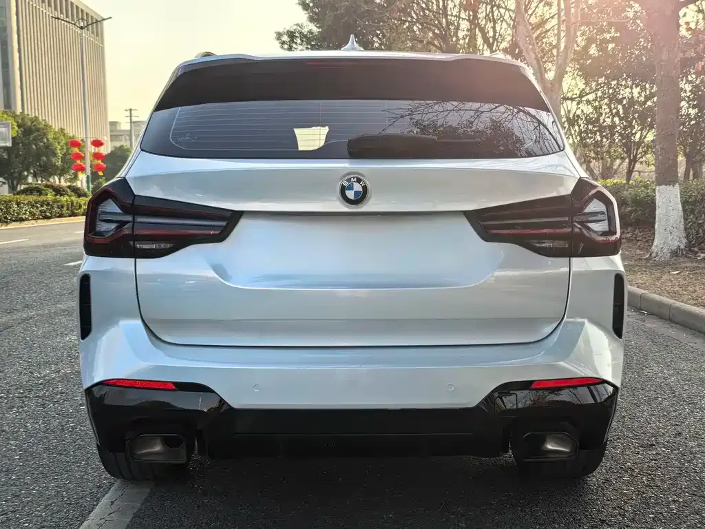 BMW X3 2023 из CN, фото 6