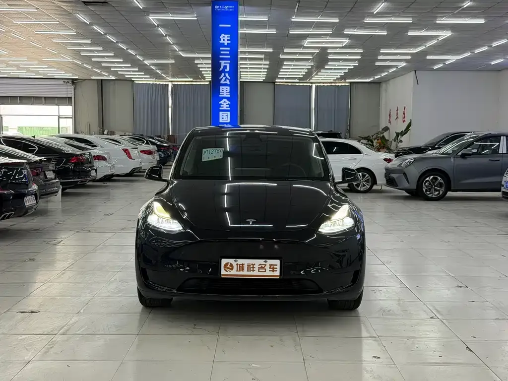 Tesla Model Y — фото 2
