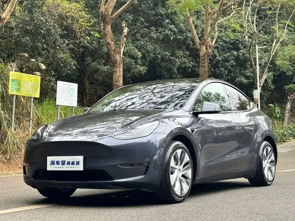 Tesla Model Y 2021 из CN, фото 1