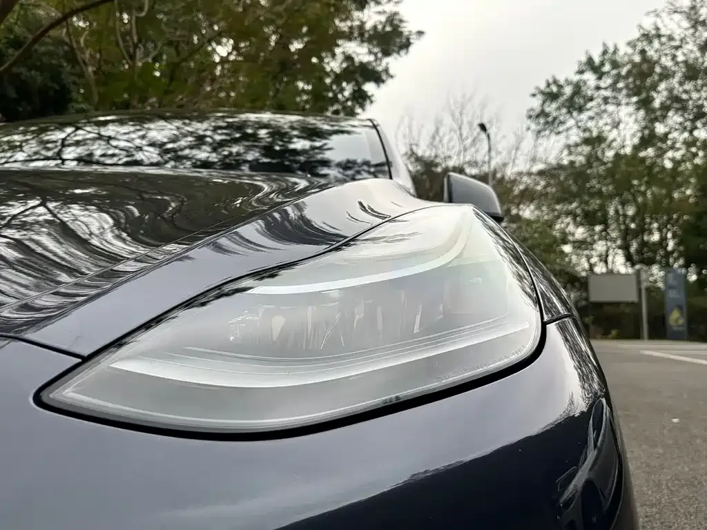Tesla Model Y 2021 из CN, фото 4
