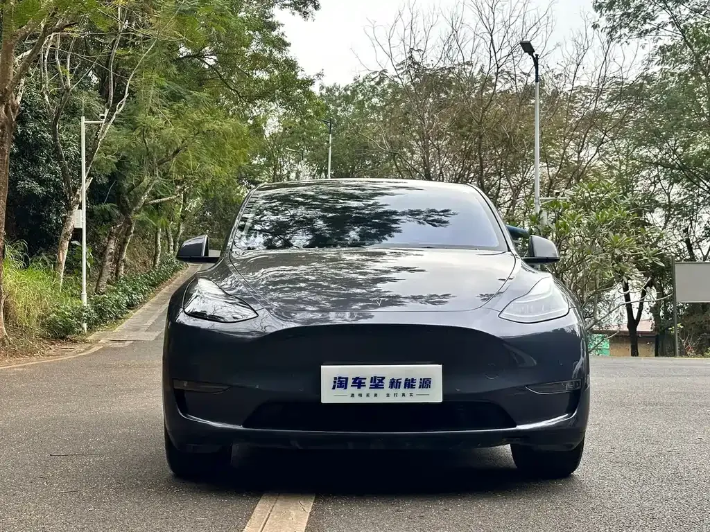 Tesla Model Y 2021 из CN, фото 6