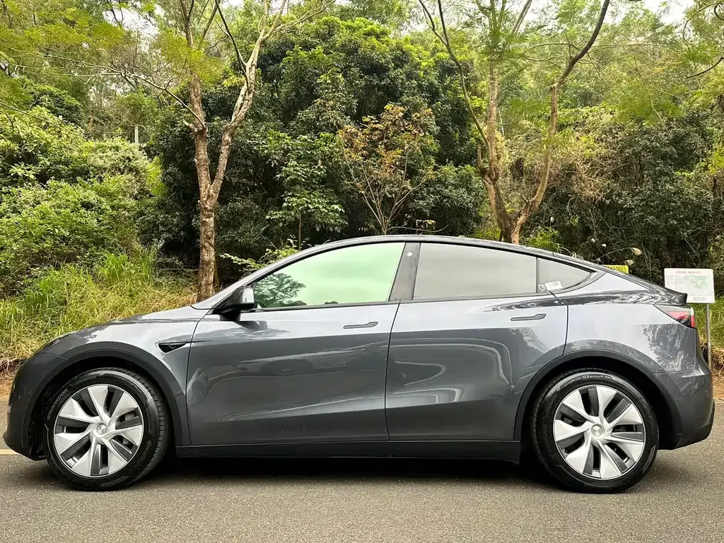 Tesla Model Y 2021 из CN, фото 10