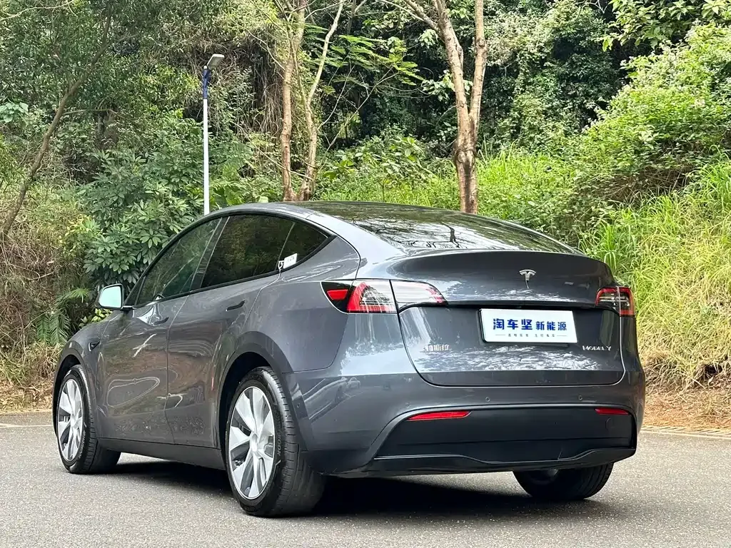 Tesla Model Y 2021 из CN, фото 9