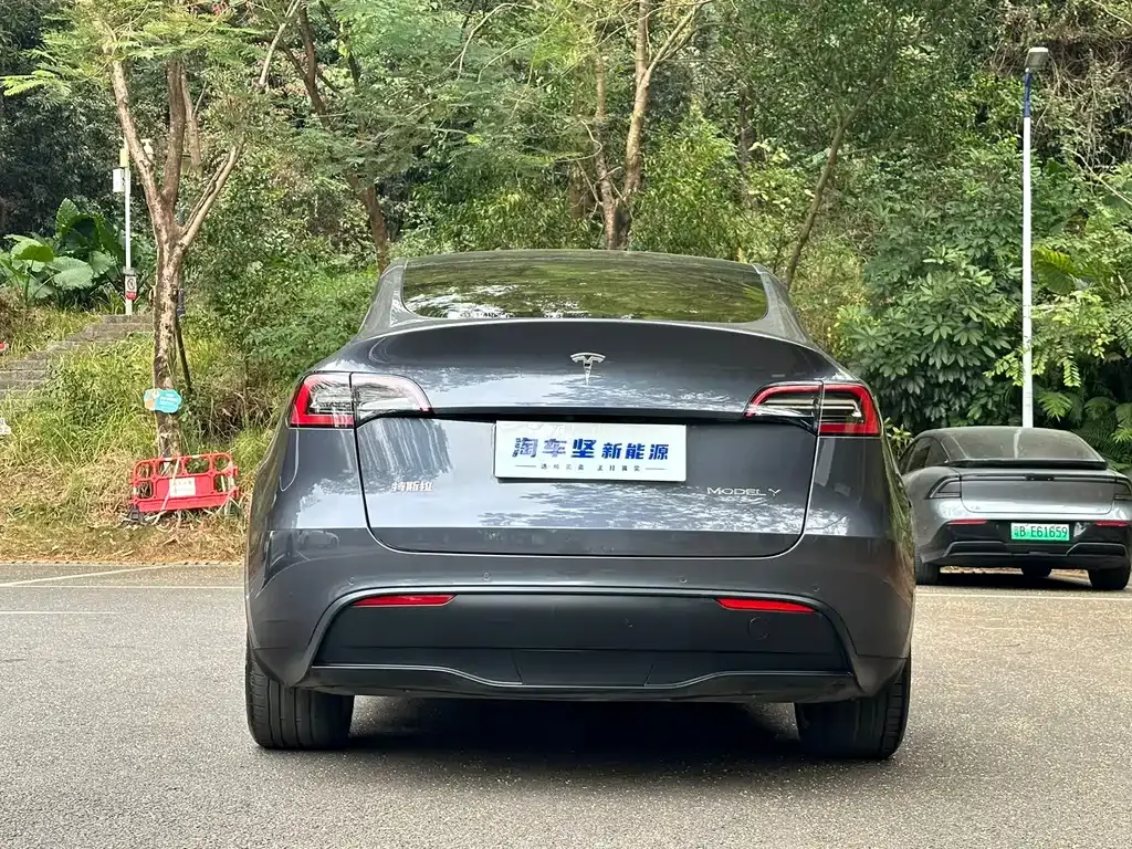 Tesla Model Y 2021 из CN, фото 7